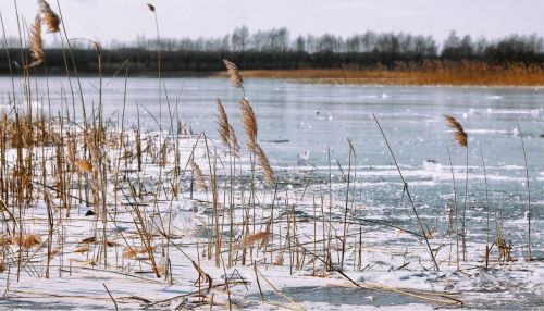Иномарку подняли со дна замерзшего озера в Алтайском крае