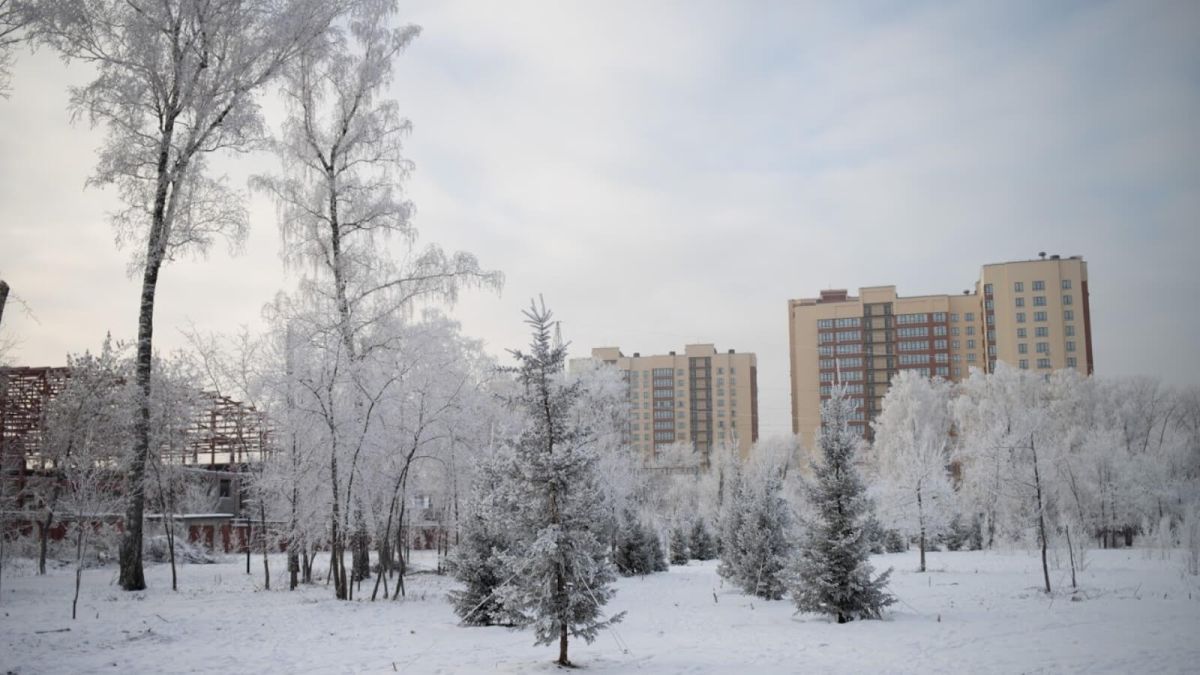 Барнаул получил новые неидеальные правила застройки города на год-полтора