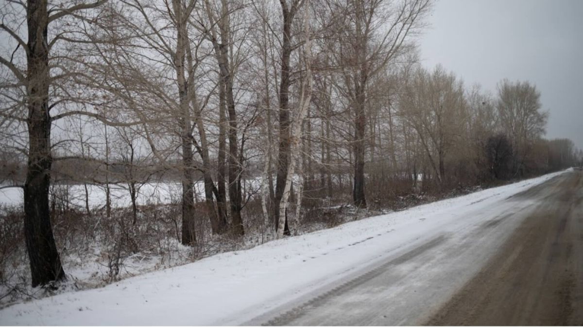 Изморозь и туман: синоптики рассказали о погоде в Алтайском крае 6 декабря