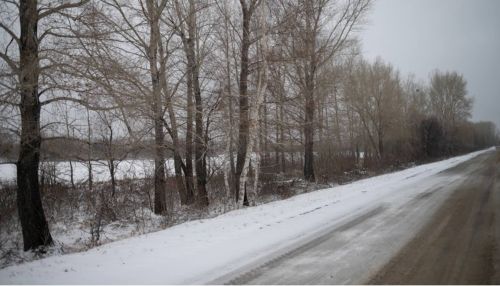 Изморозь и туман: синоптики рассказали о погоде в Алтайском крае 6 декабря