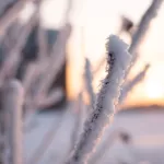 30-градусные морозы придут в Алтайский край только в конце декабря