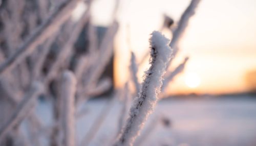 Морозы до -42 градусов опустятся в декабре на Алтайский край