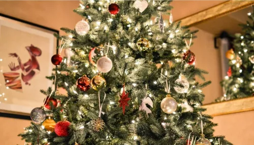В элитном российском ресторане установили новогоднюю елку за 1 млн рублей