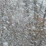 Сильный снег, ветер и метели окутают Алтайский край уже 8 декабря