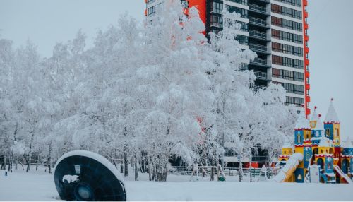 Новый сезон проекта Зимний дворовый инструктор начался в Барнауле
