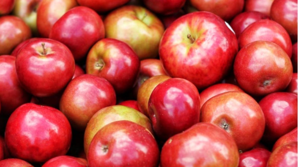 Россия запретит ввоз яблок и томатов из Азербайджана