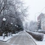 Небольшой снег, метель и до -13 градусов ожидается 10 декабря в Алтайском крае