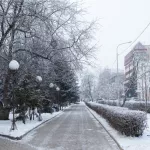 Мокрый снег и до -2 градусов ожидается в Алтайском крае 15 ноября