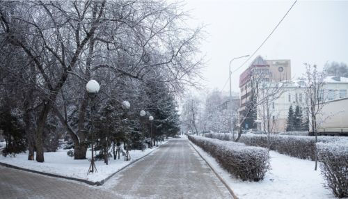 Небольшой снег, метель и до -13 градусов ожидается 10 декабря в Алтайском крае