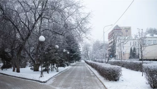 Снег и потепление до -1 градуса пришли в Алтайский край 7 февраля