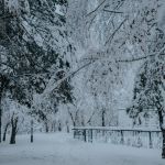 Снег и небольшое похолодание ожидаются 11 декабря в Алтайском крае
