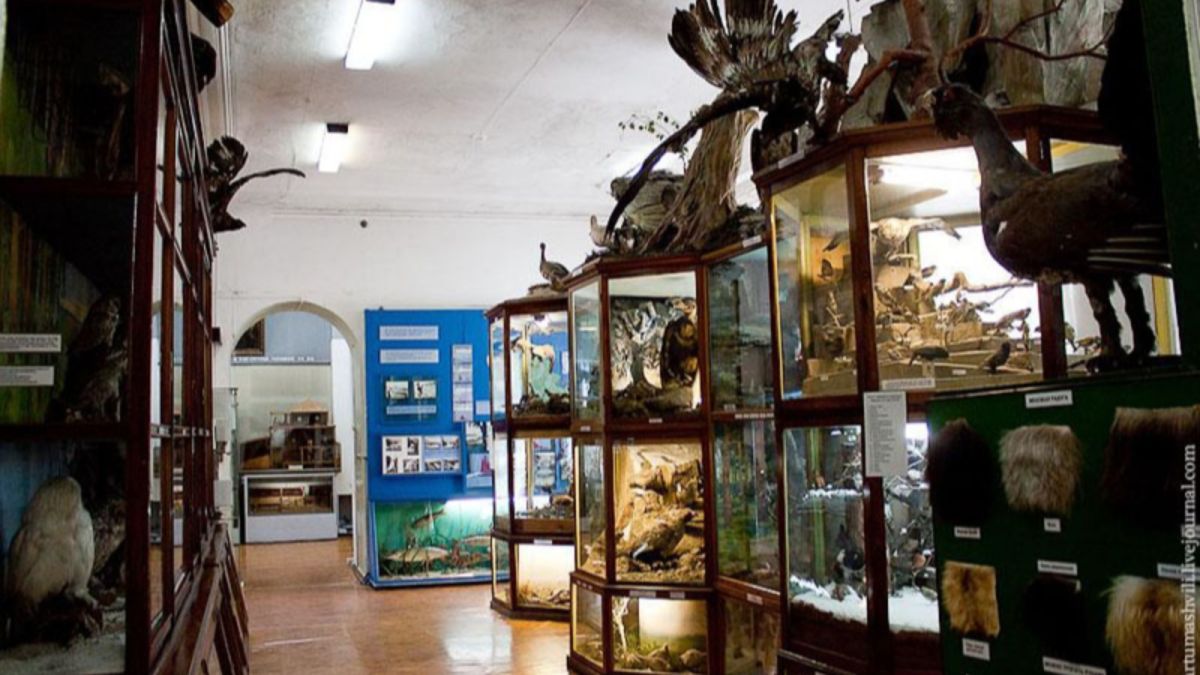 На ремонт краеведческого музея в Барнауле потратят больше 350 млн рублей 