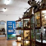 На ремонт краеведческого музея в Барнауле потратят больше 350 млн рублей