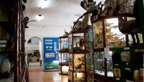 На ремонт краеведческого музея в Барнауле потратят больше 350 млн рублей