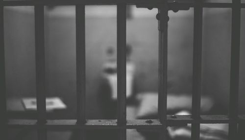 Барнаульскому наркоману-эксгибиционисту дали 12 лет тюрьмы