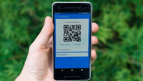 Алтайские предприниматели начали принимать оплату по QR-коду