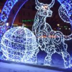В центре Барнаула установили светящийся символ 2021 года