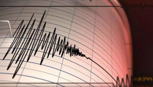 Землетрясение магнитудой 4,9 произошло на границе с Алтайским краем