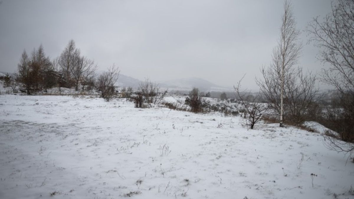 Снег и метель вернутся в Алтайский край в начале рабочей недели