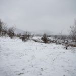 Снег и метель вернутся в Алтайский край в начале рабочей недели