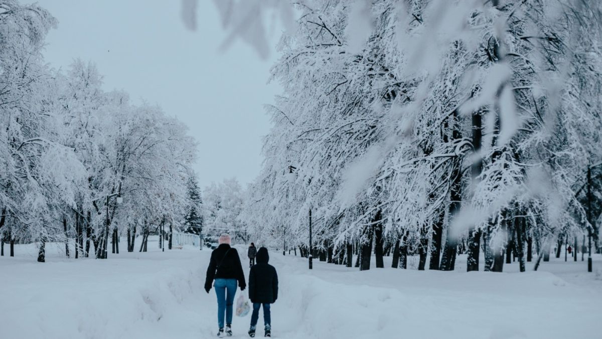 Ветер, снег и метели ожидаются 15 декабря в Алтайском крае