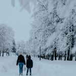 Ветер, снег и метели ожидаются 15 декабря в Алтайском крае