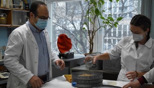 Тяга к знаниям: студенты АлтГТУ участвуют в реализации различных проектов