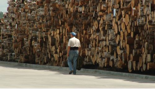 Сокращения и достижения: холдинг Алтайлес подвел итоги 2020 года