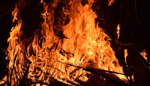 600 пострадавших от пожара алтайских семей получили помощь в 2020 году