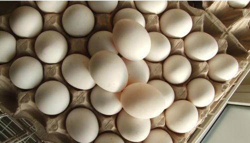 Рост цен на продукты: что ждет жителей Алтайского края в 2021 году