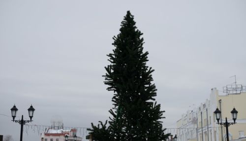 В России с 1 января заработают новые правила установки елки