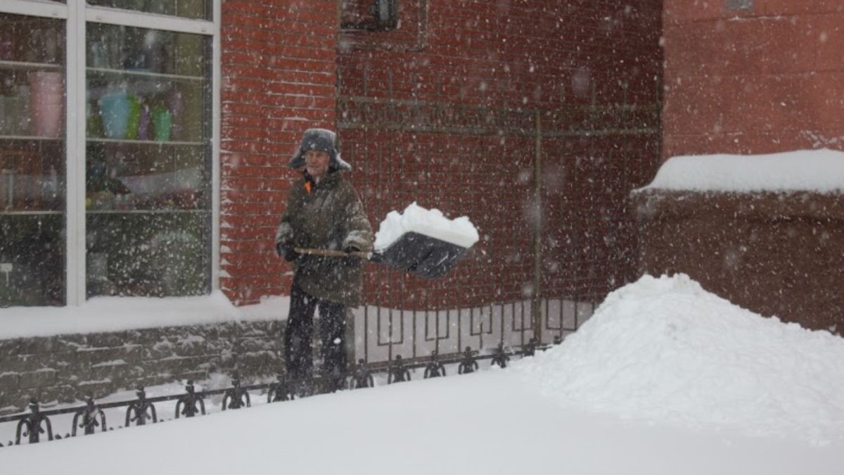 Буран и до -20 градусов: похолодание придет в Алтайский край 21 декабря