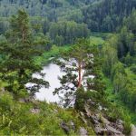 Что дает нацпроект Экология алтайским лесам и сохранению природного богатства