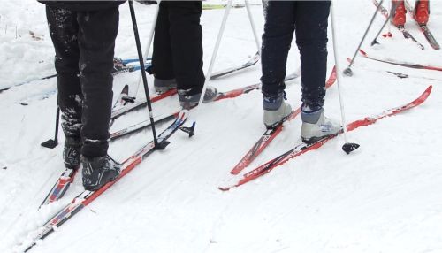 В барнаульских парках открылись новые лыжные трассы