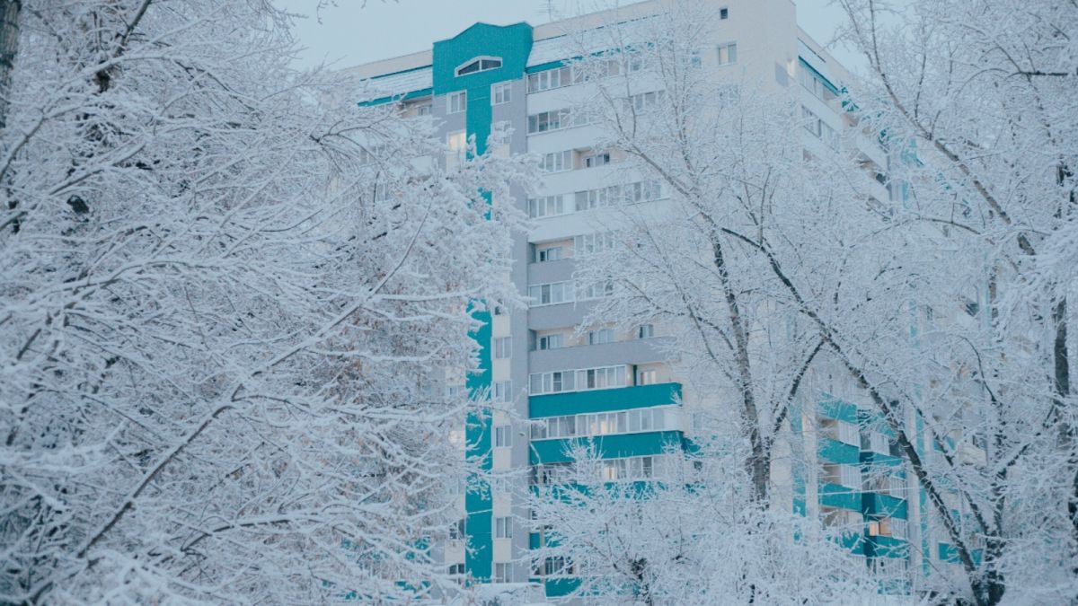 Сильный ветер, снег, метели: Алтайский край "штормит" 23 декабря