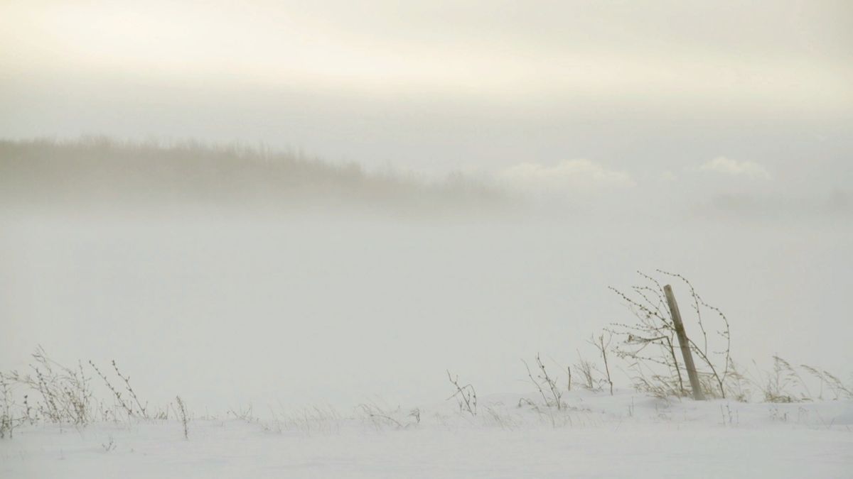 Гидрометцентр: Алтайский край накроет "угрожающий" ветер