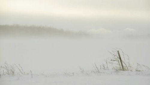 Гидрометцентр: Алтайский край накроет угрожающий ветер