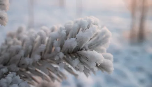 Мороз до -30 градусов опустится на Алтайский край ближайшей ночью