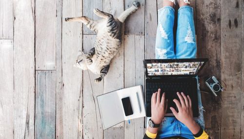 Билайн запустил Цифровой код для консультаций в Центре поддержки клиентов