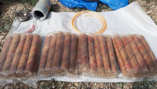 Двое жителей Алтая получили сроки за хищение и продажу 8 кг взрывчатки