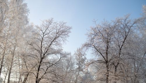 Мороз до -43 градусов охватит Алтайский край в ближайшие сутки