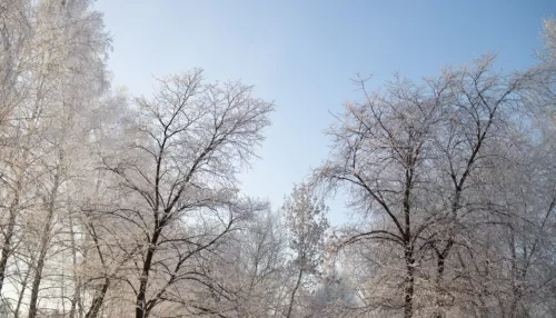 20-градусный мороз ожидается 9 декабря в Алтайском крае