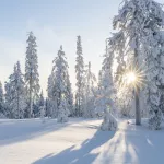 Алтайский край настигнут аномальные холода: когда это случится