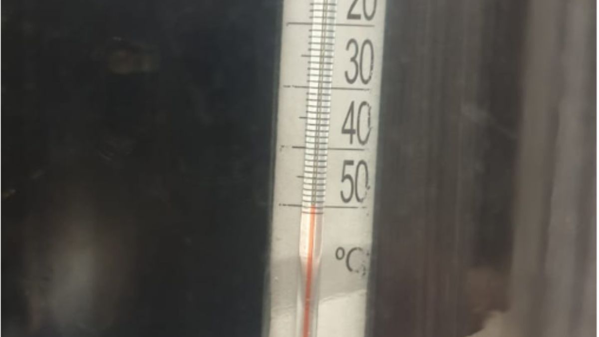 "Зима лютует!": жители Алтая сообщают о 50-градусных морозах в отдельных районах