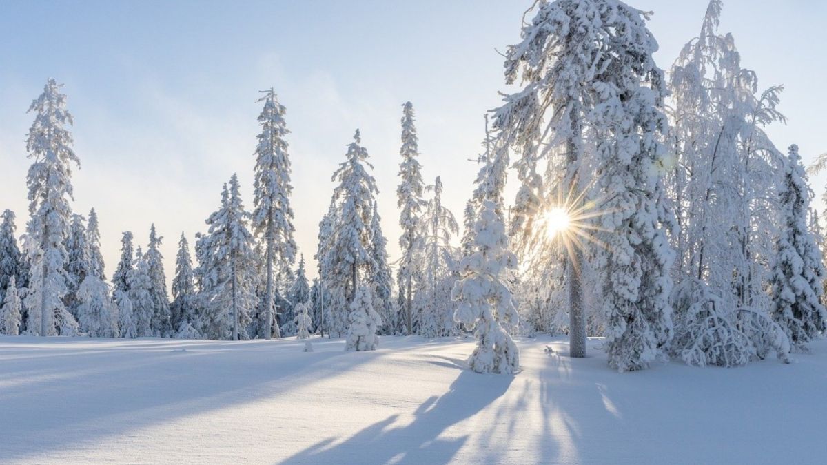 В Барнауле зафиксировали рекордный мороз за последние 100 лет
