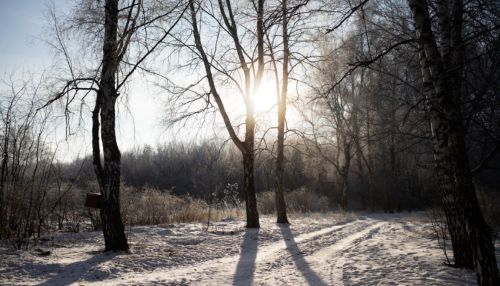 Потепление до -11 градусов ждет жителей Алтайского края 30 декабря