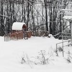 Ребенок девяти лет погиб во время катания с горки в Новосибирске