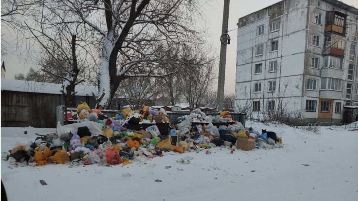 Бийчане пожаловались на горы новогодних отходов у мусорных баков