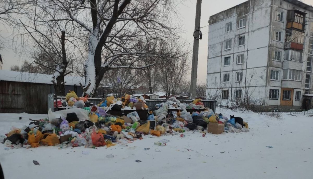 Жители Бийска жалуются на горы мусора около домов - Толк 03.01.2021