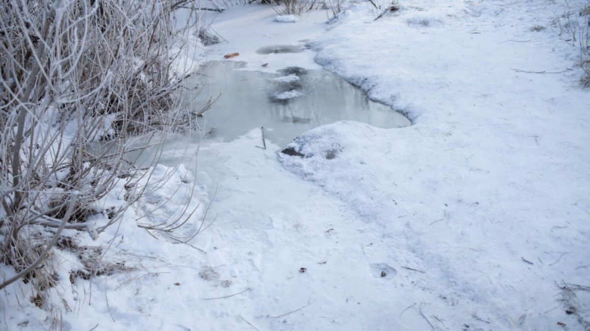Рождественские морозы: до -26 градусов ожидается 7 января в Алтайском крае